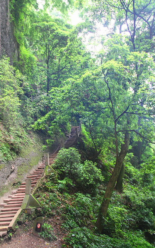 那一年"川"梭中的回忆:足迹四川青城山—四川青城山前山后山,老君阁