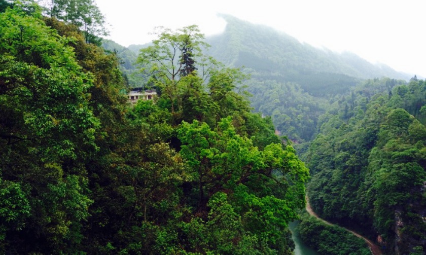 邛崃南宝山攻略,邛崃南宝山门票/游玩攻略/地址/图片/门票价格【携程