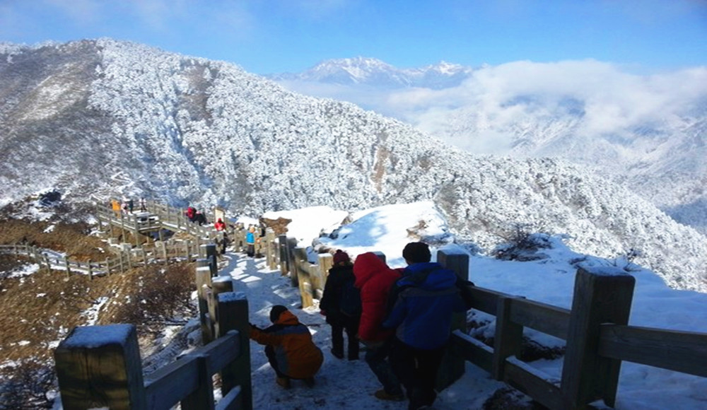 "川"梭中的回忆:足迹四川大邑西岭雪山---西岭雪山滑雪场,日月坪,阴阳