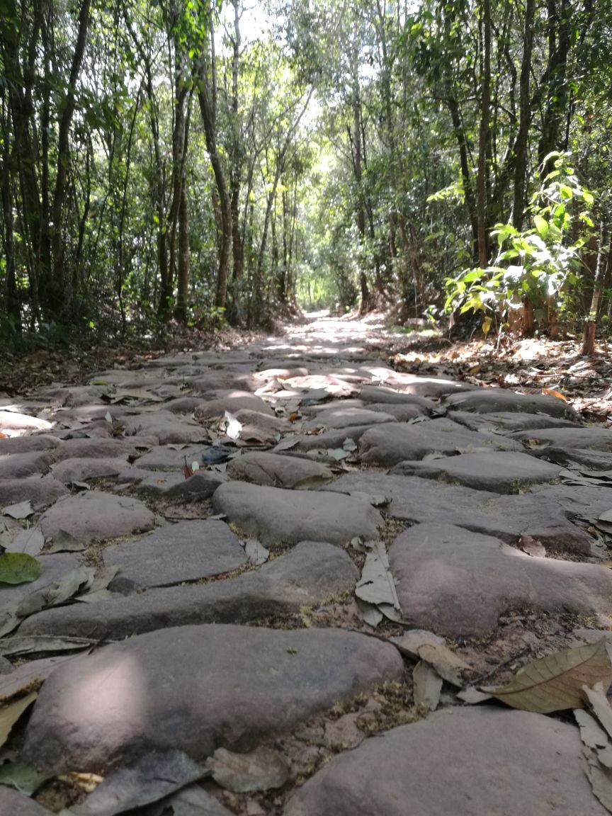 普洱茶马古道攻略,普洱茶马古道门票/游玩攻略/地址/图片/门票价格