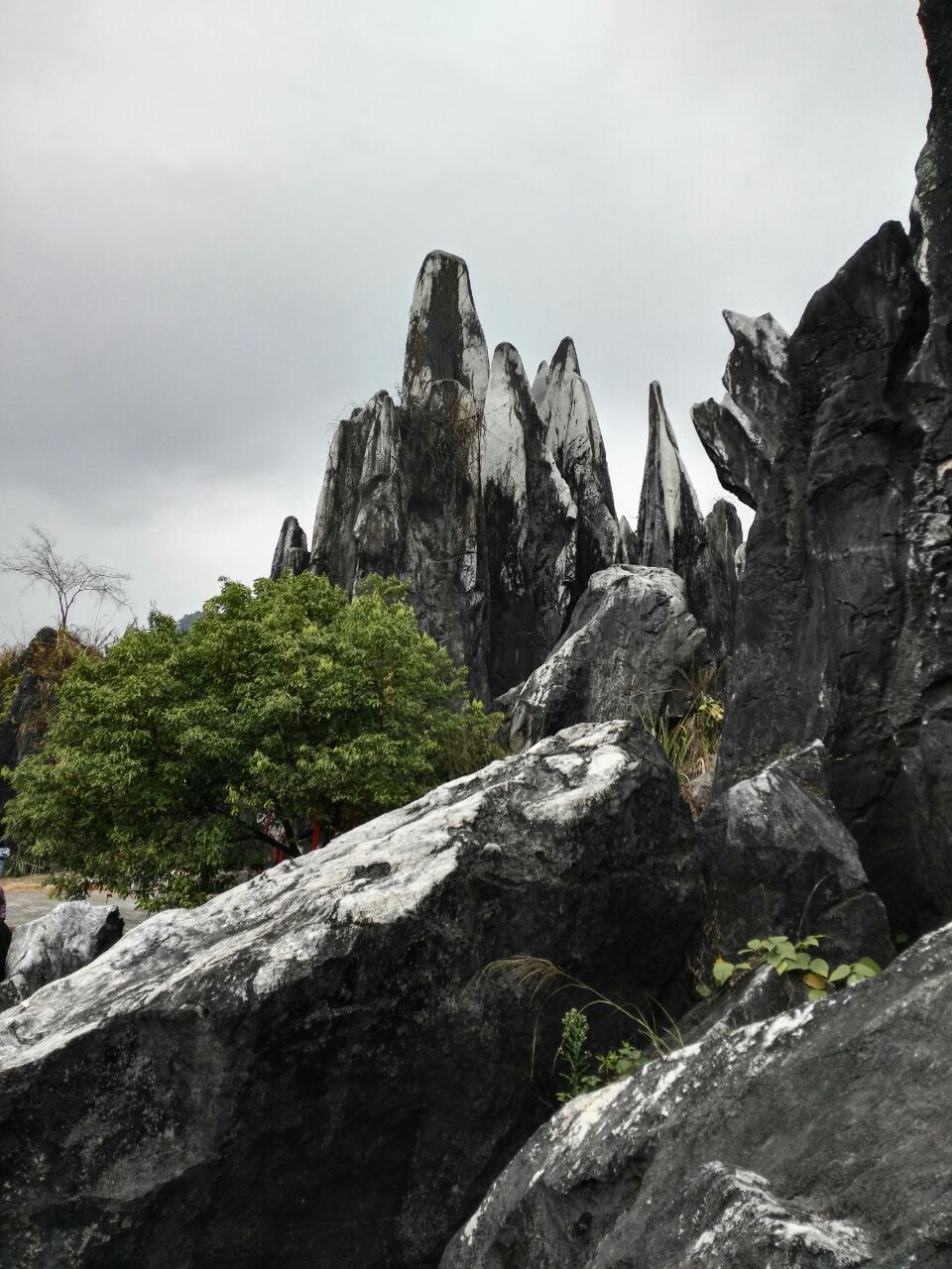 【携程攻略】贺州玉石林风景区好玩吗,贺州玉石林风景