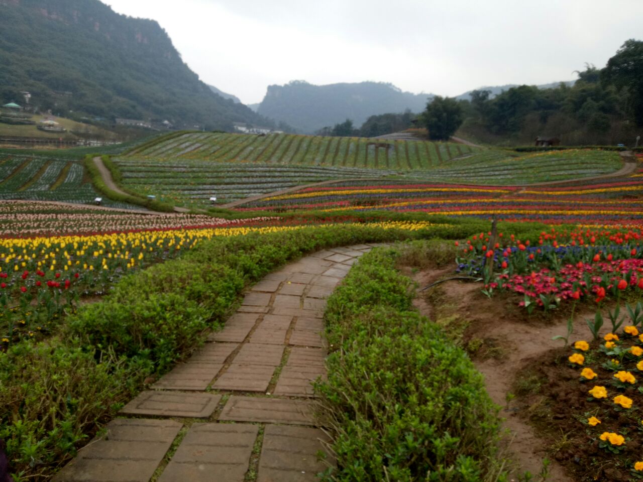 清溪谷旅游区花田酒地景区