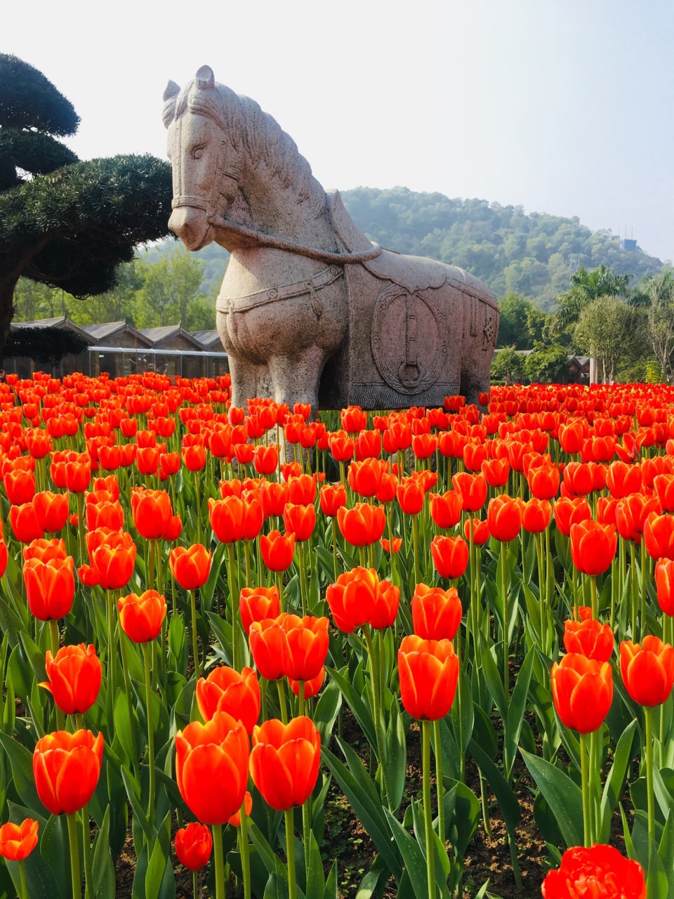 漳浦漳州东南花都好玩吗,漳浦漳州东南花都景点怎么样