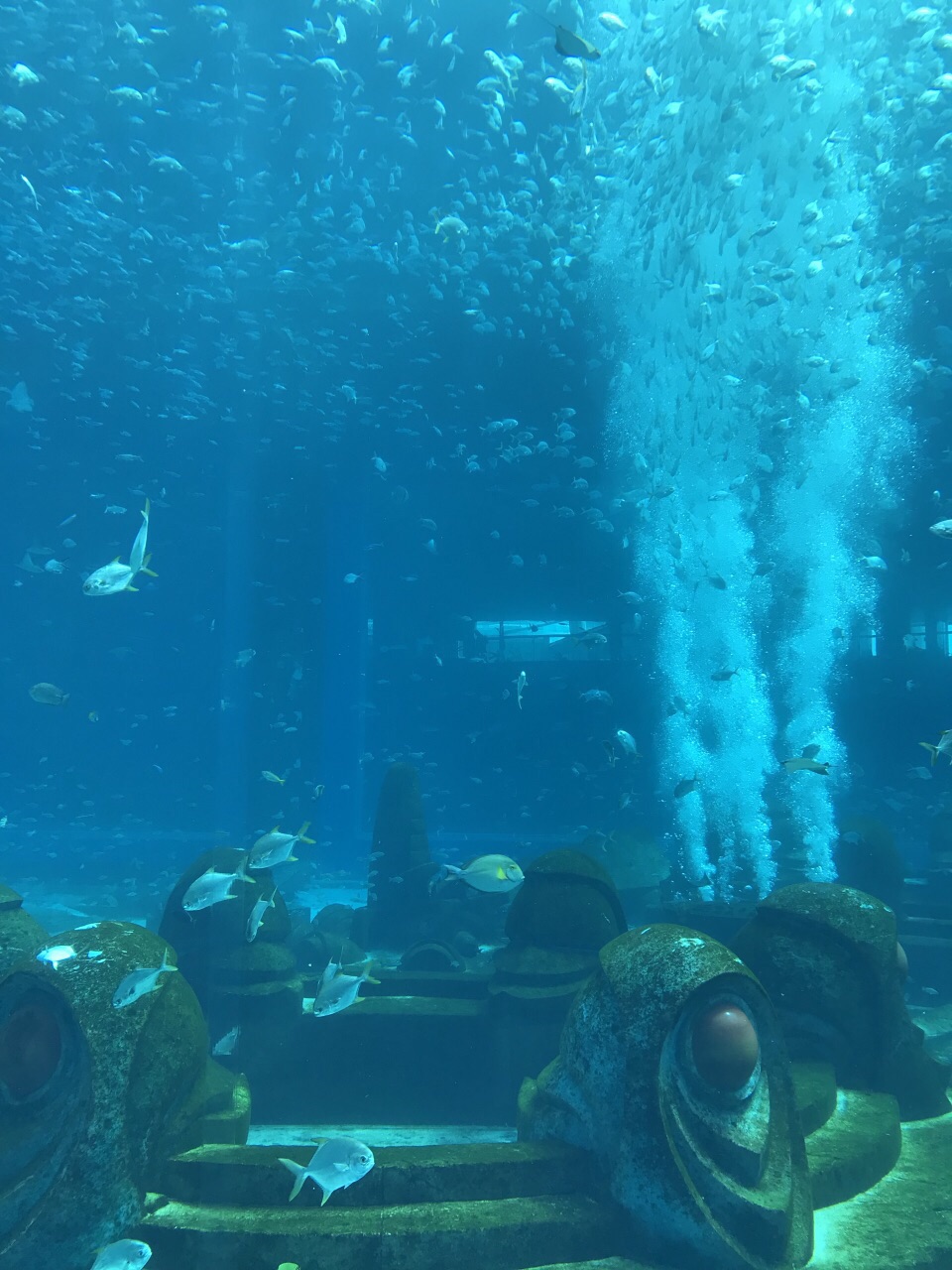 亚特兰蒂斯失落的空间水族馆