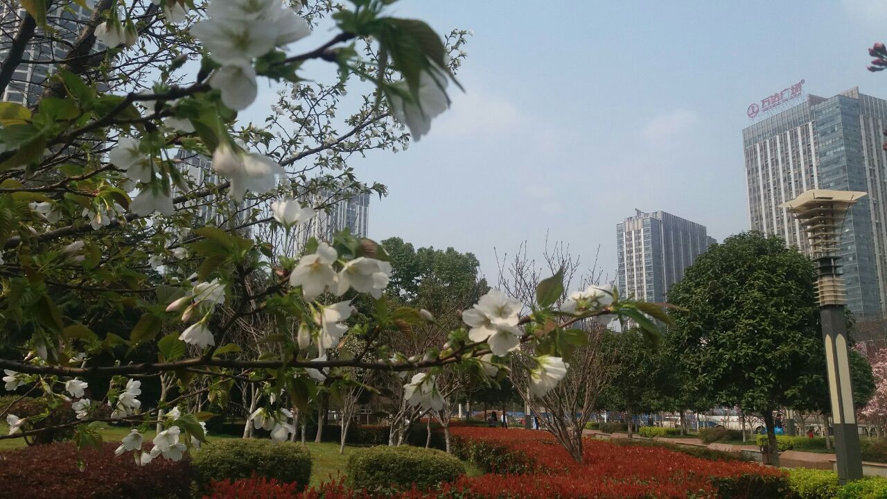 菱角湖公园