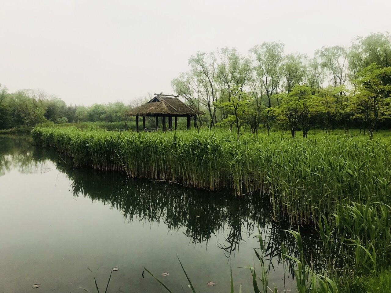 西溪国家湿地公园旅游景点攻略图
