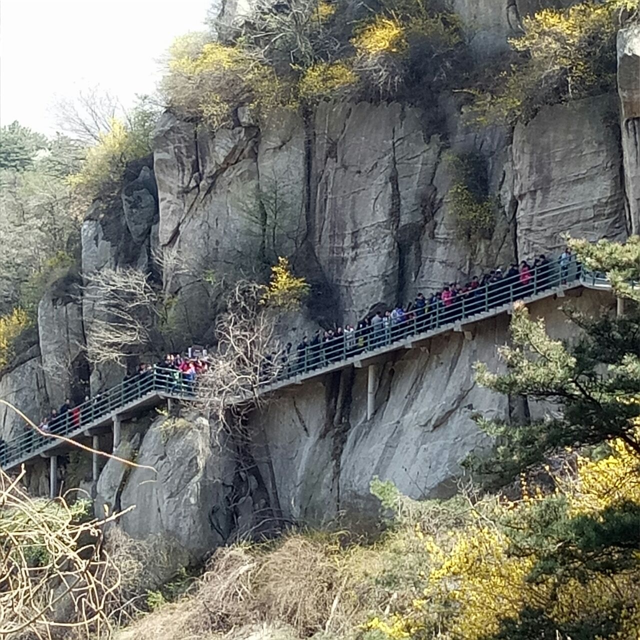 沂蒙山银座天蒙旅游区