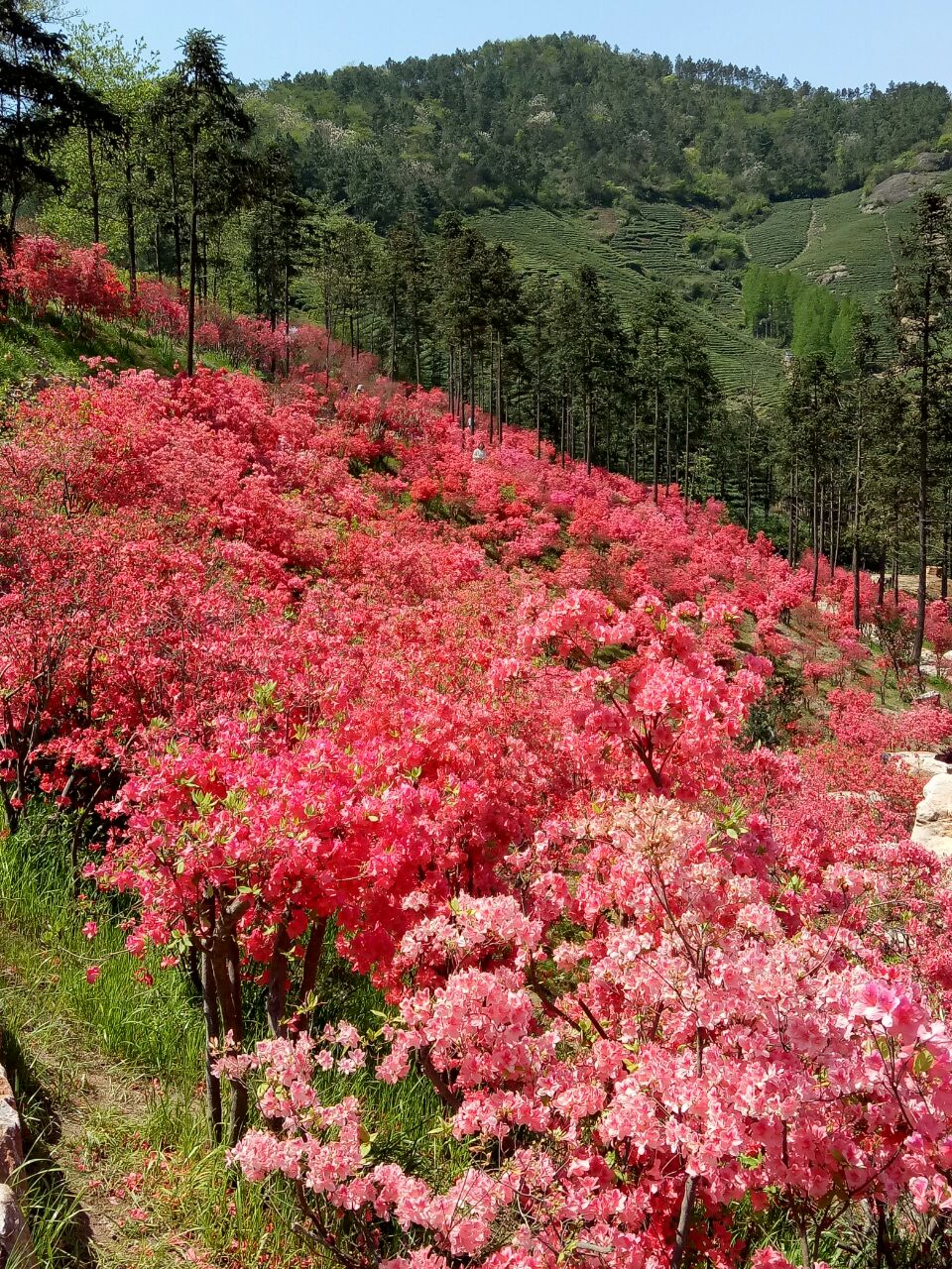 长兴城山沟景区