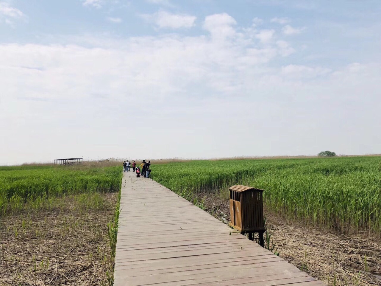 2019西沙湿地公园_旅游攻略_门票_地址_游记点评,崇明旅游景点推荐