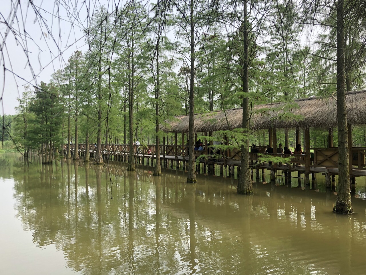 青西郊野公园旅游景点攻略图