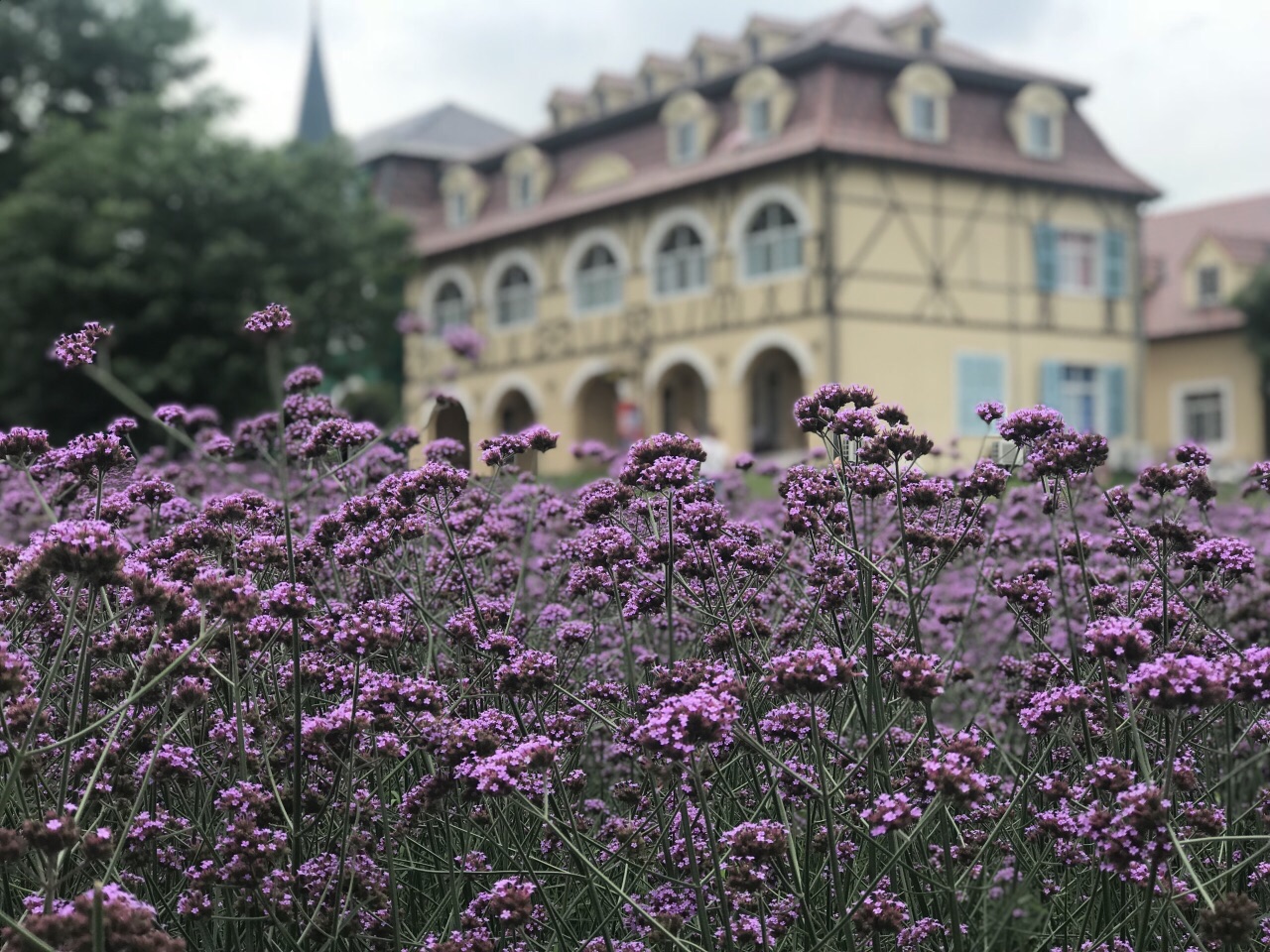 花博汇旅游景点攻略图