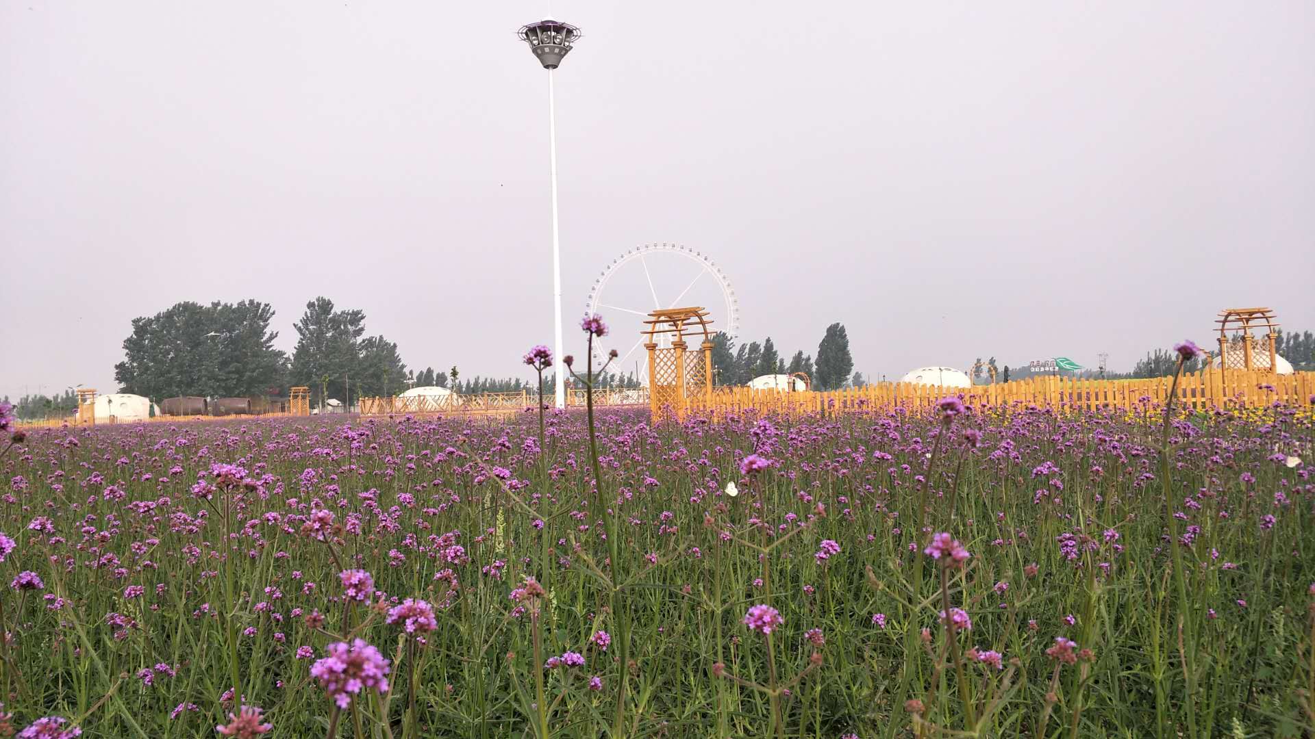 景和田园兴丰旅游度假区