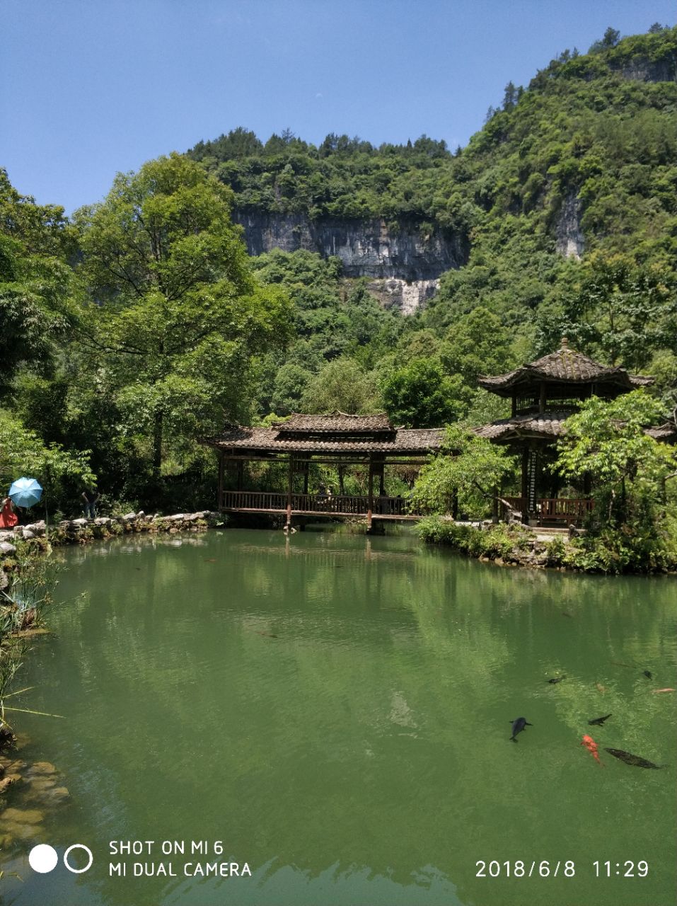 酉阳桃花源旅游景点攻略图