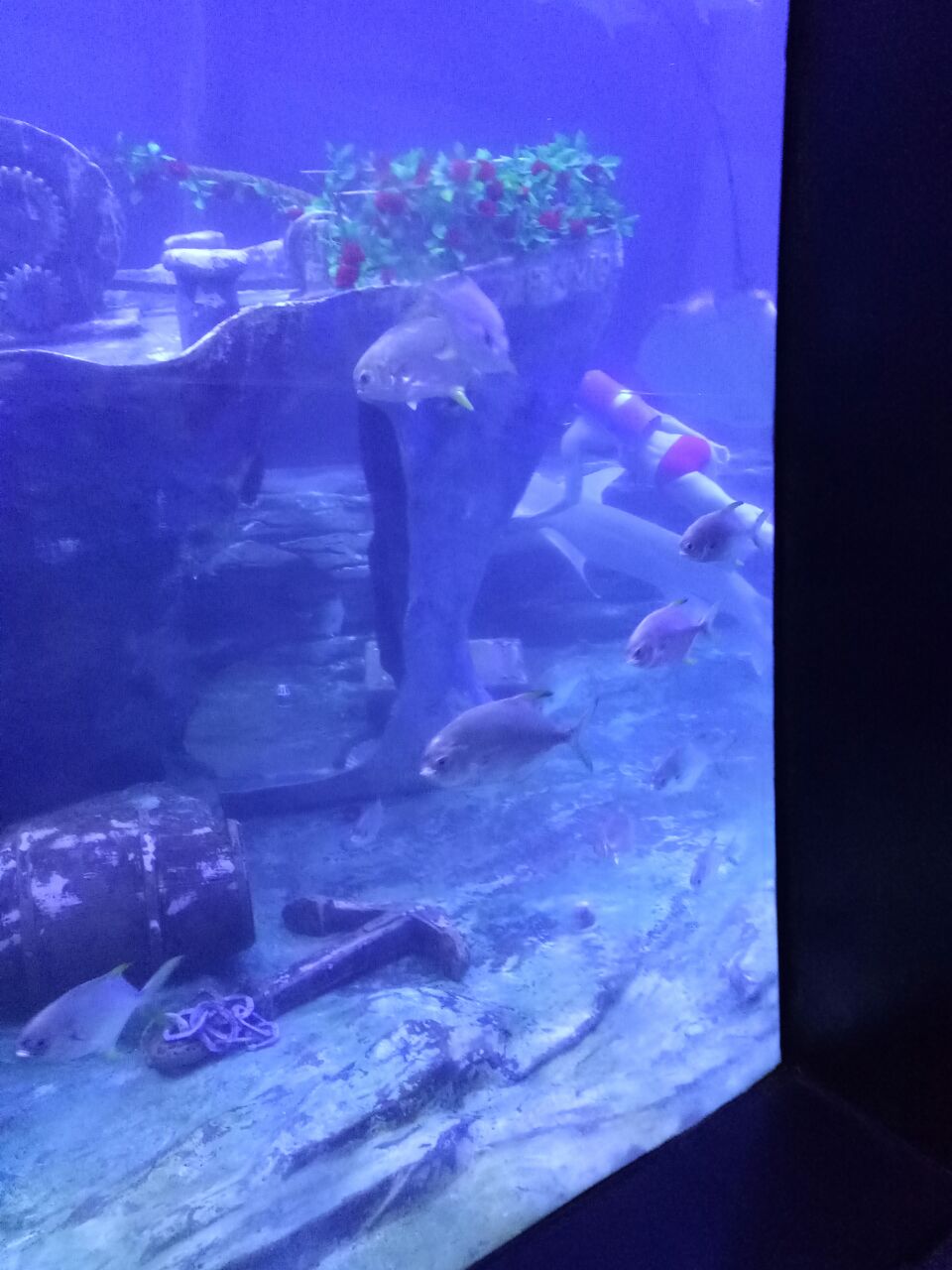北海海底世界