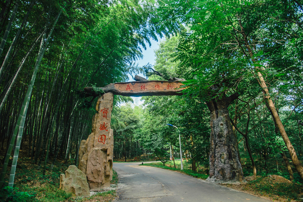 自驾茅山,野趣宝盛园--盛夏避暑,亲子撒野好去处