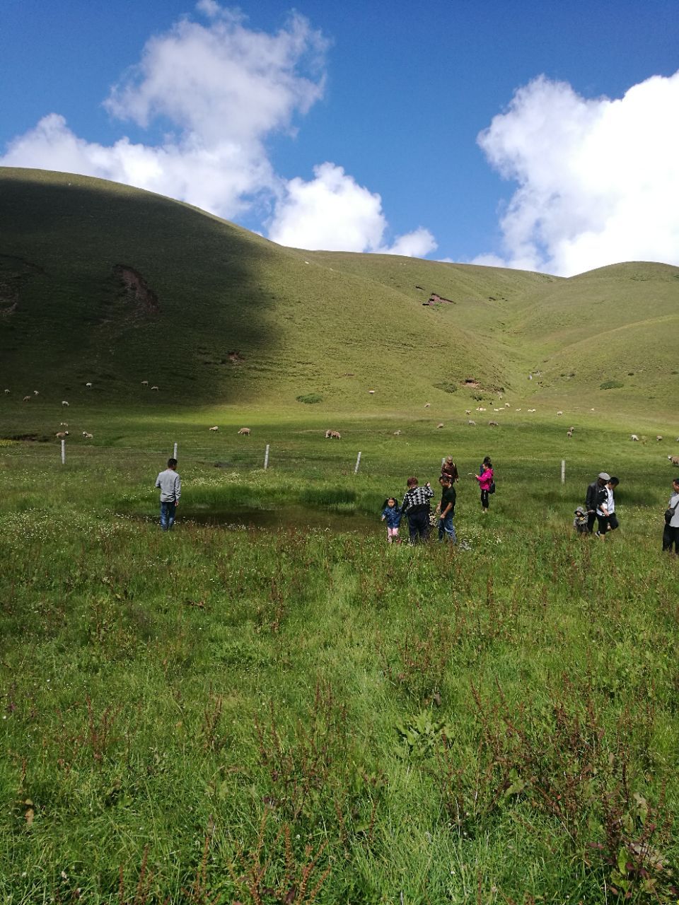 会泽大海草山攻略,会泽大海草山门票/游玩攻略/地址/图片/门票价格