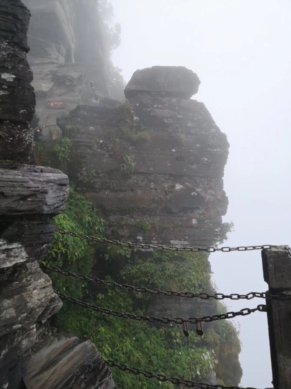 可是到了梵净山确是在下雨,就是下雨也挡不住来梵净山看风景的人,趣味