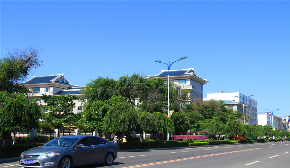 那一年,飘走东北,吉林省休闲之旅;图们市风采,中国图们国门,图们口岸