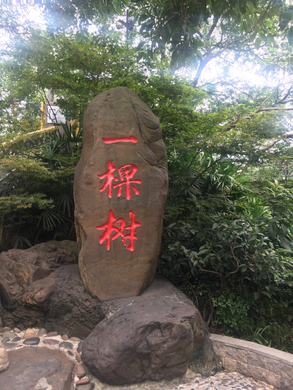 2019南山一棵树观景台_旅游攻略_门票_地址_游记点评