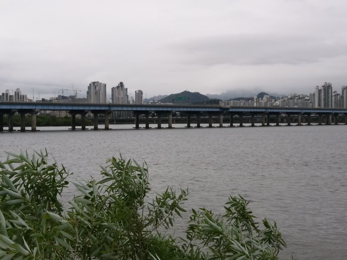 沿着汉江有十几座桥,十几个公园,风挺大,没什么人,盘浦大桥有&quot