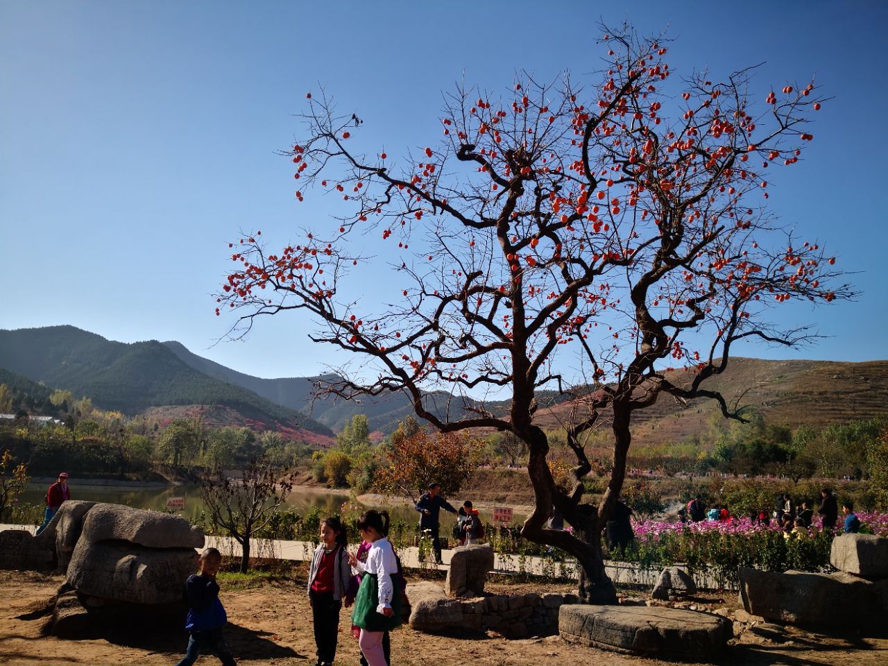 官护山景区