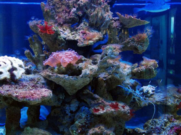 深海水族馆旅游景点攻略图