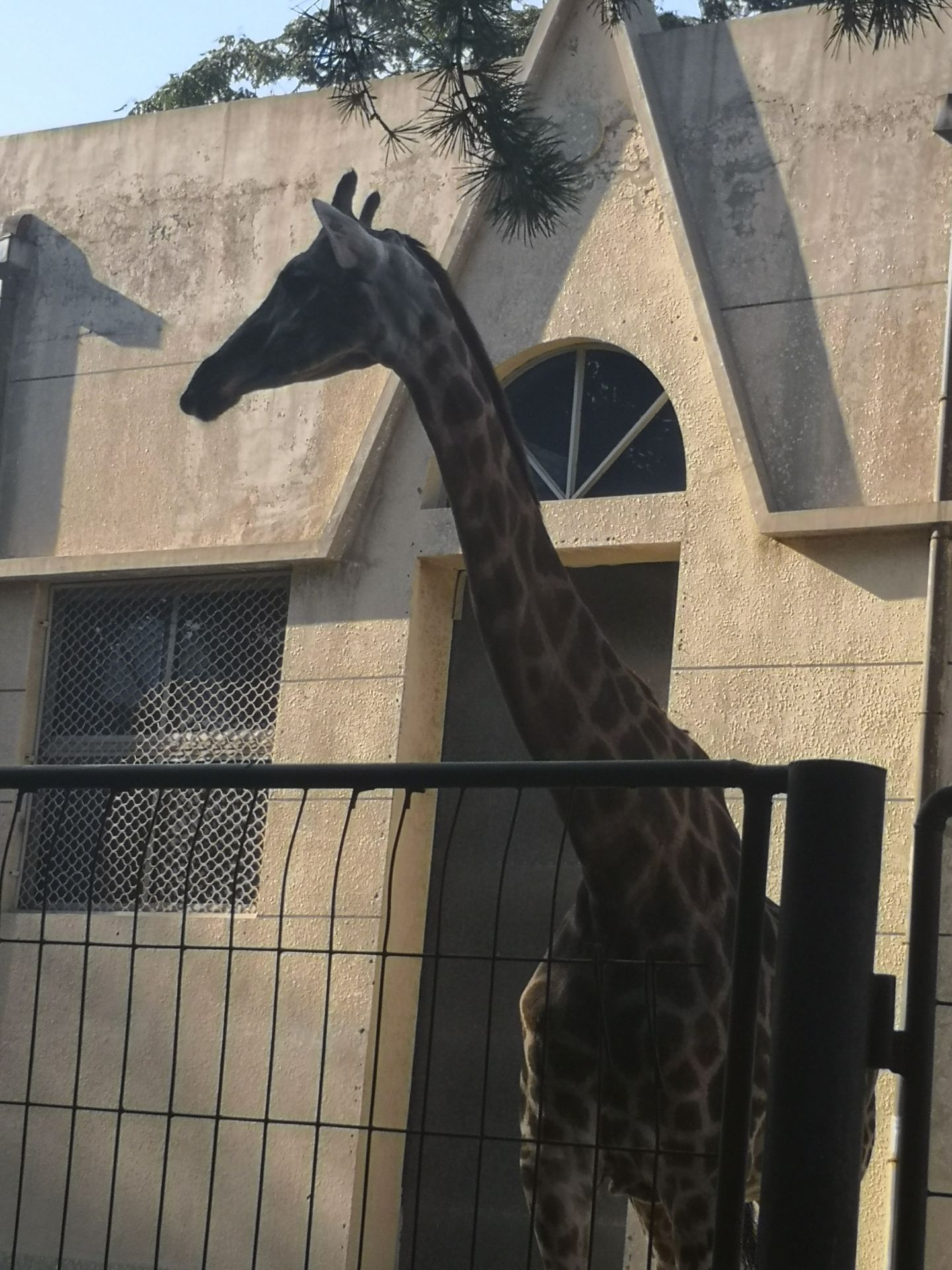 保定市动物园旅游景点攻略图