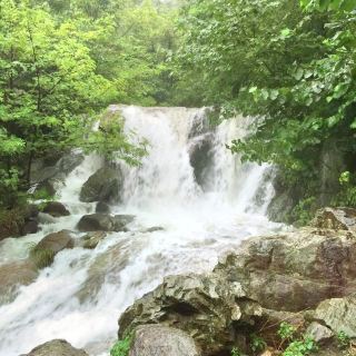 余姚浙东革命根据地纪念馆攻略-浙东革命根据地纪念馆