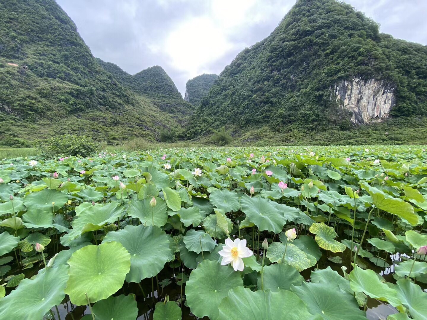 靖西三牙山