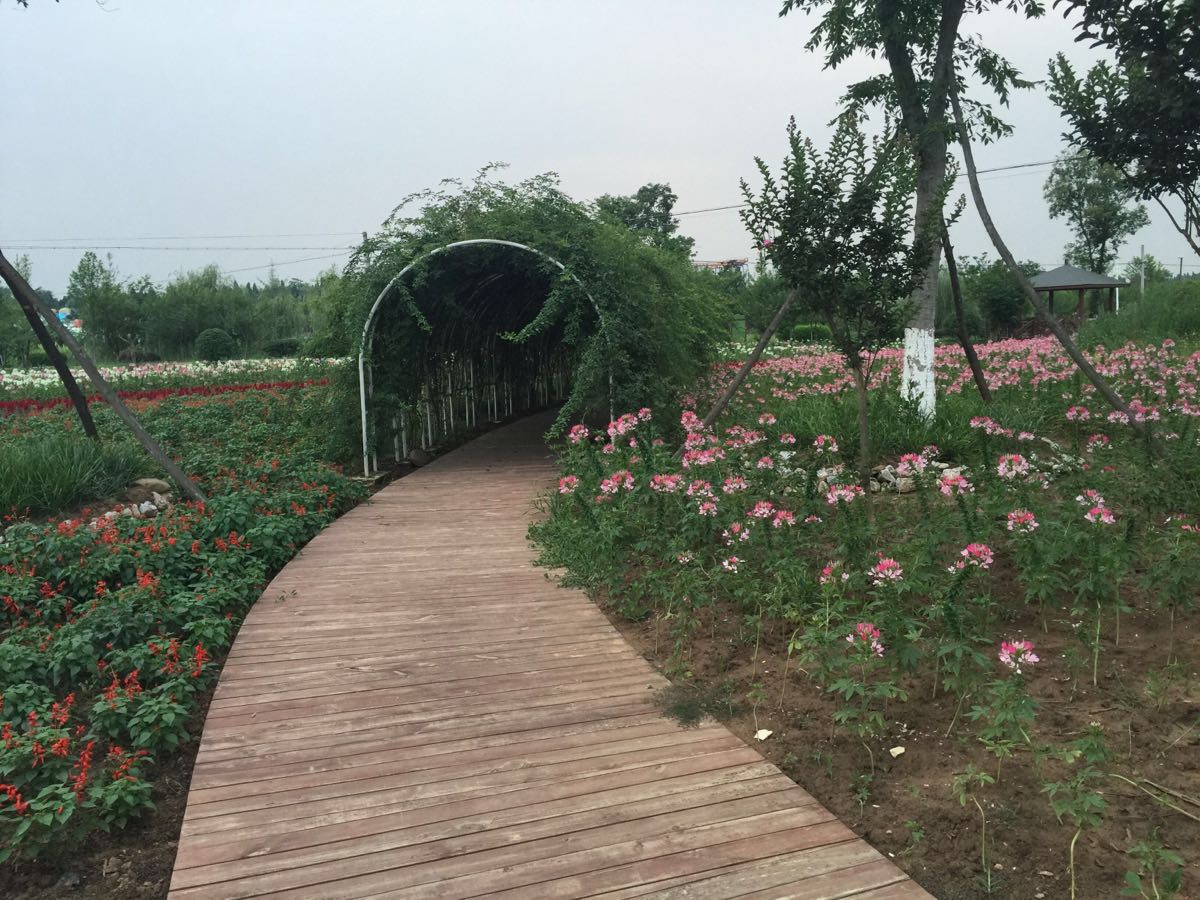 绵阳原香国际香草园好玩吗,绵阳原香国际香草园景点怎么样_点评_评价