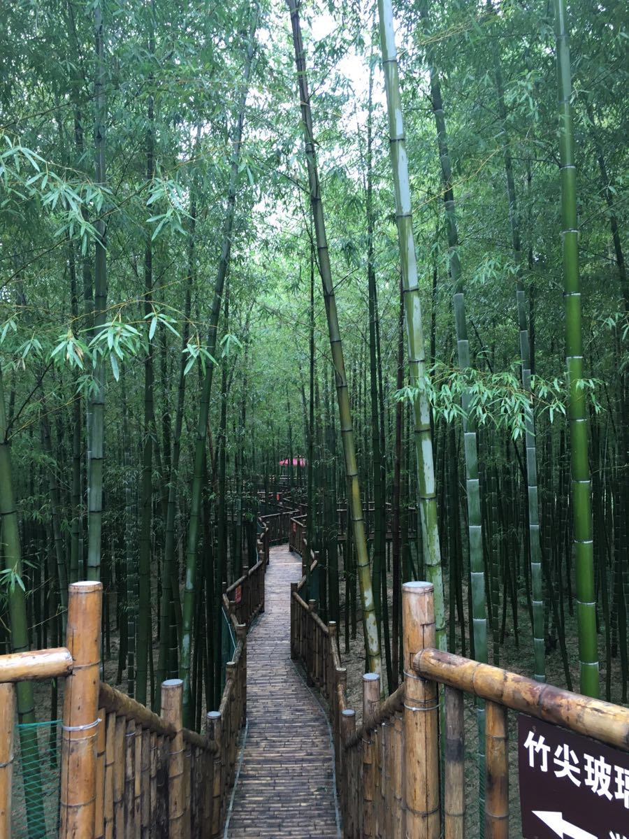 【携程攻略】宜兴陶祖圣境景点,这个景区离竹海很近