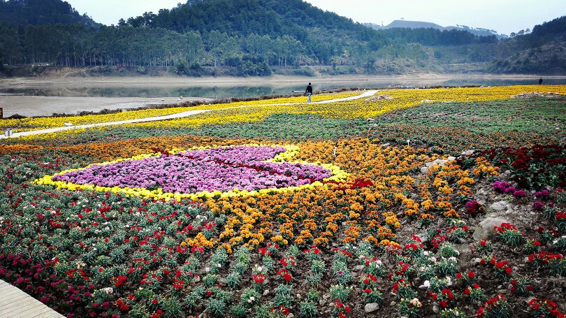 黄姚仙女湖花海旅游景点攻略图