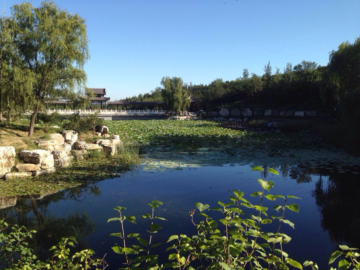 北京北宫国家森林公园好玩吗,北京北宫国家森林公园景点怎么样_点评