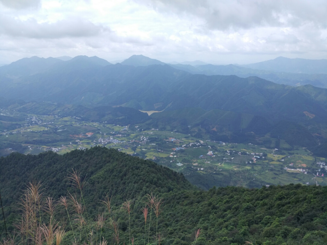 阳岭国家森林公园