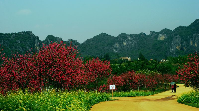 2019花花大世界_旅游攻略_门票_地址_游记点评,武鸣旅游景点推荐 去