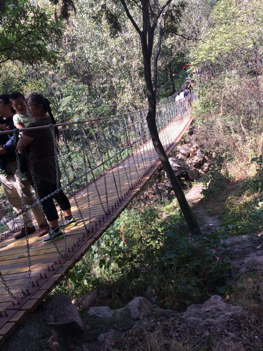 肥城牛山森林公园好玩吗,肥城牛山森林公园景点怎么样