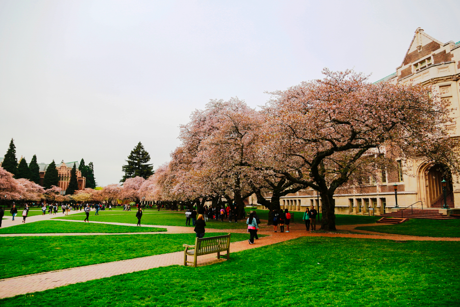 华盛顿大学图片 2391976 1920x1280