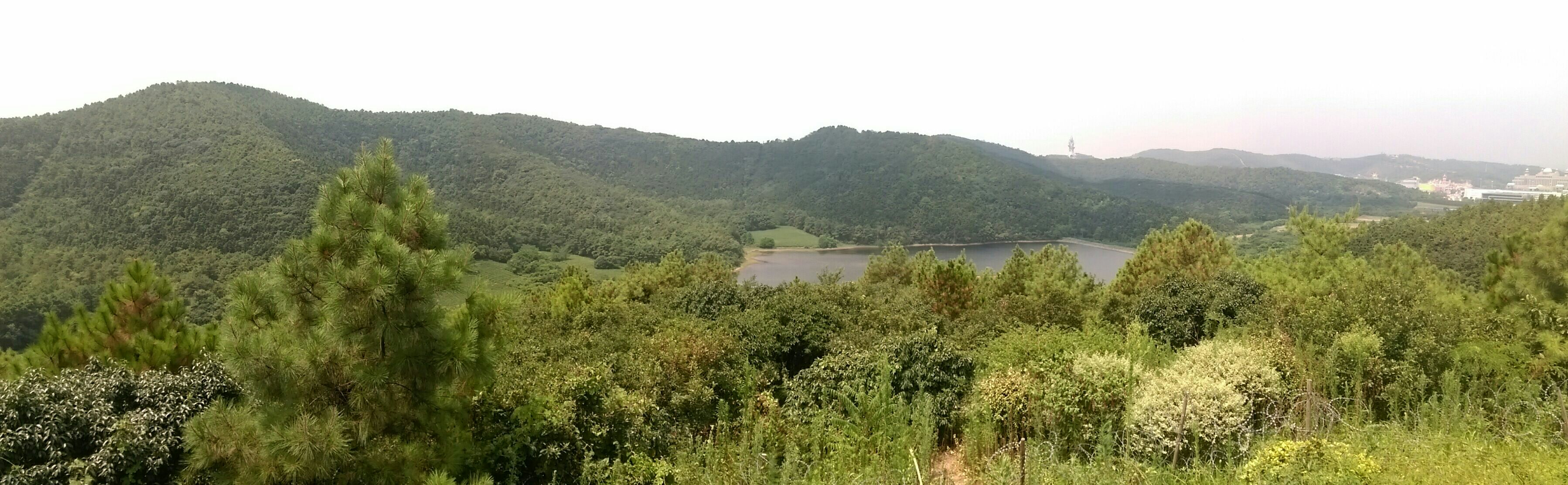 竺山湖