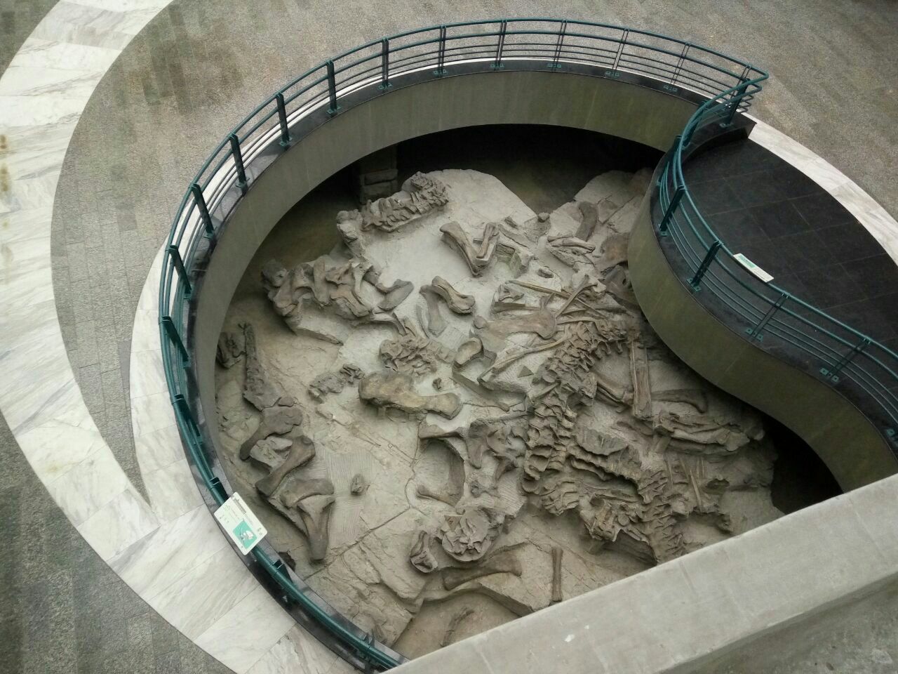 自贡恐龙博物馆