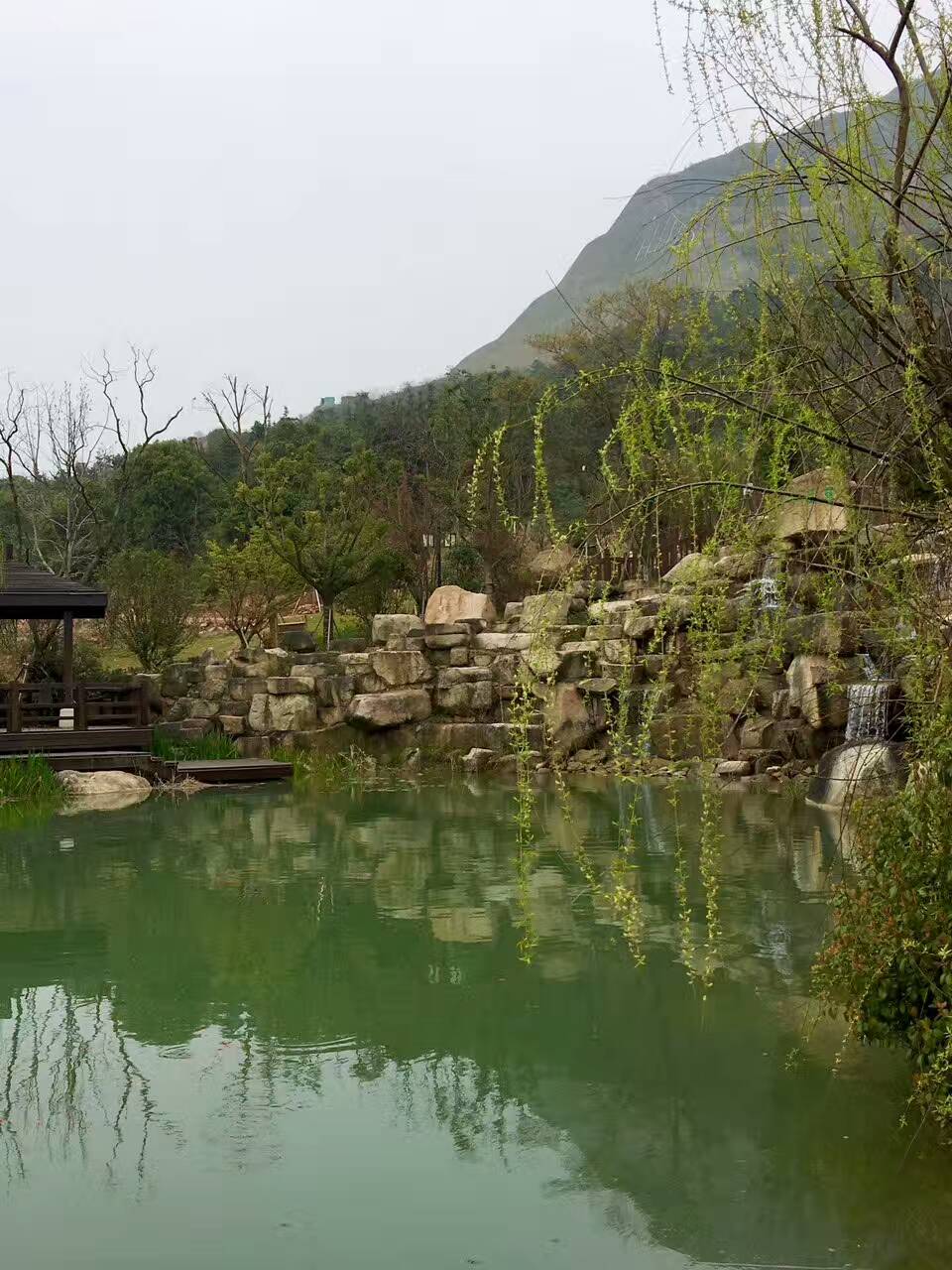 大阳山植物园景区