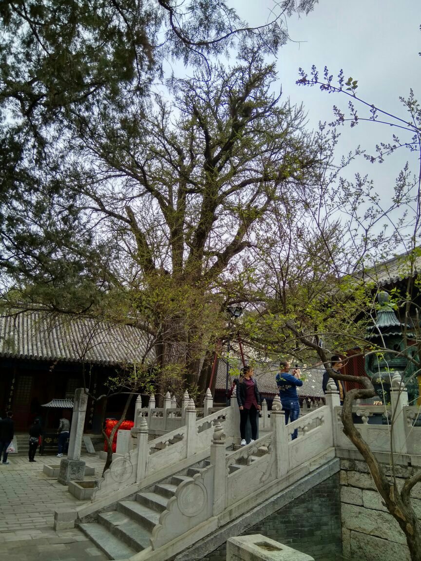 红螺寺旅游景点攻略图