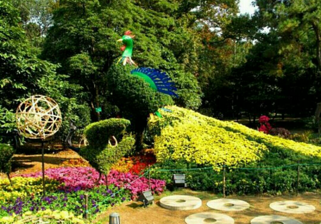 杭州杭州植物园好玩吗,杭州杭州植物园景点怎么样