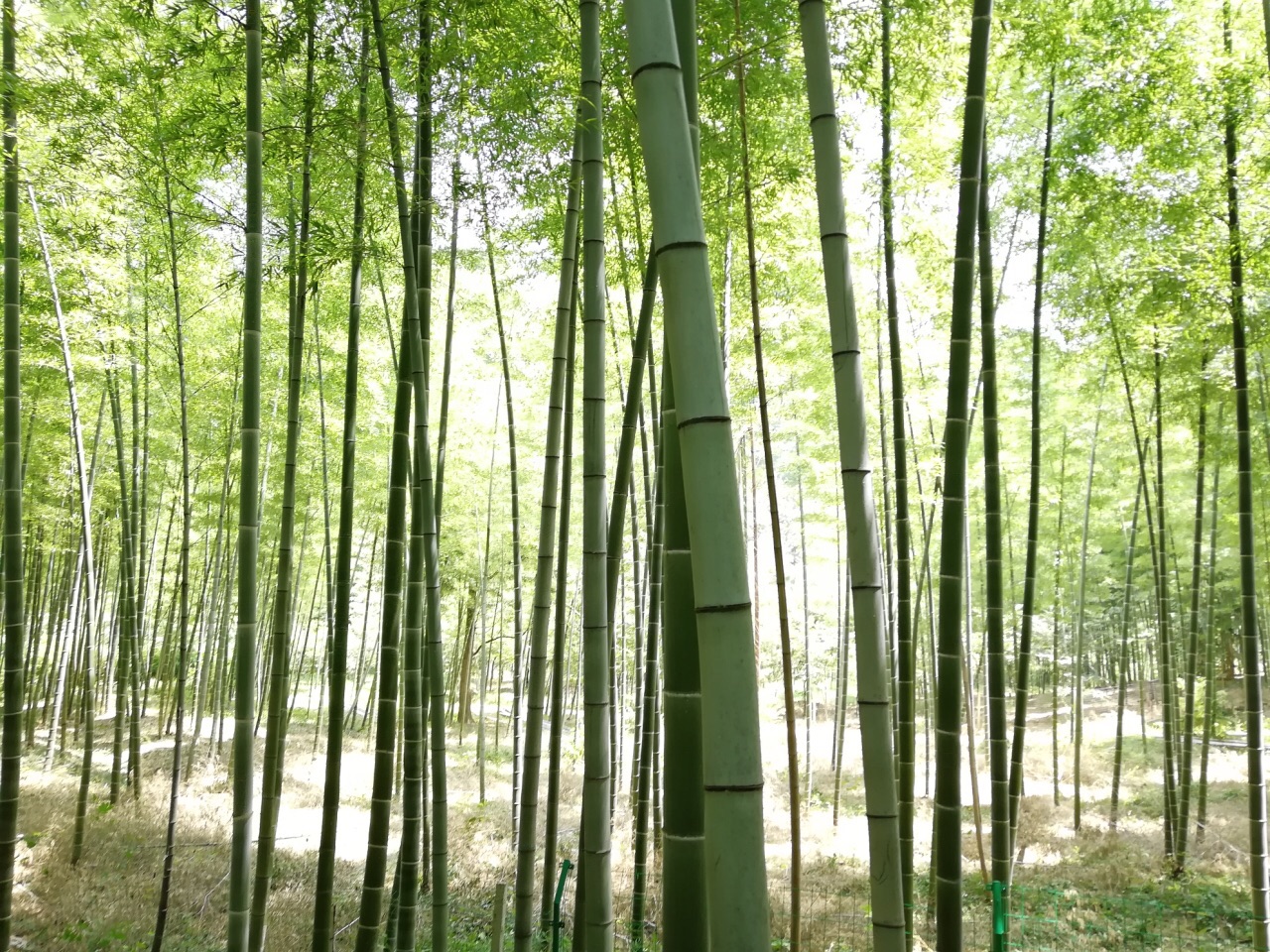 2019陶祖圣境_旅游攻略_门票_地址_游记点评,宜兴旅游