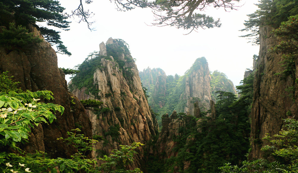 那一年,中华名山之三山五岳【安徽黄山游记】慈光阁,迎客松,天都峰