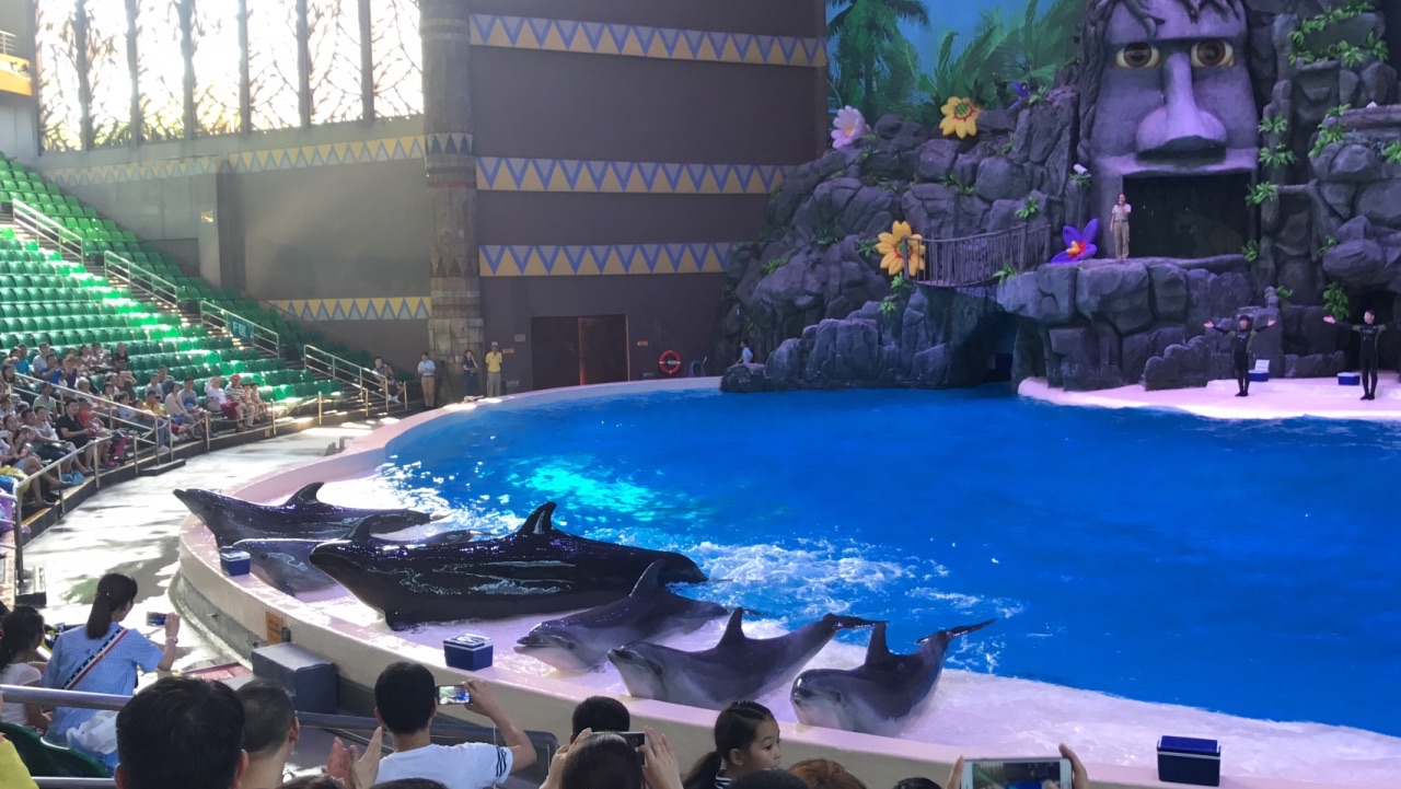 海豚剧场