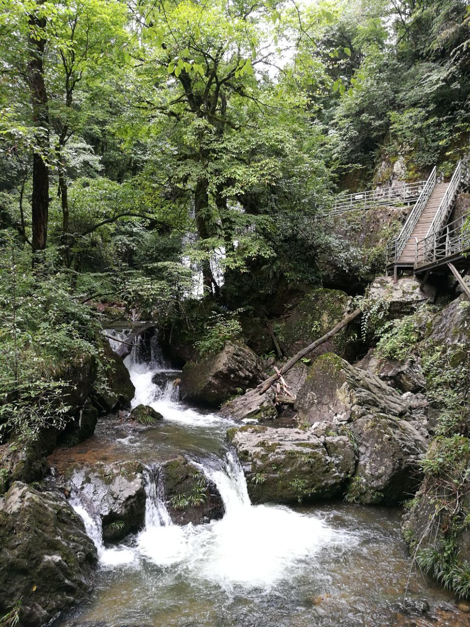 龙苍沟