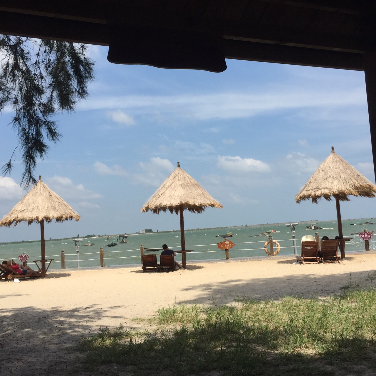 北海金海湾红树林生态旅游区