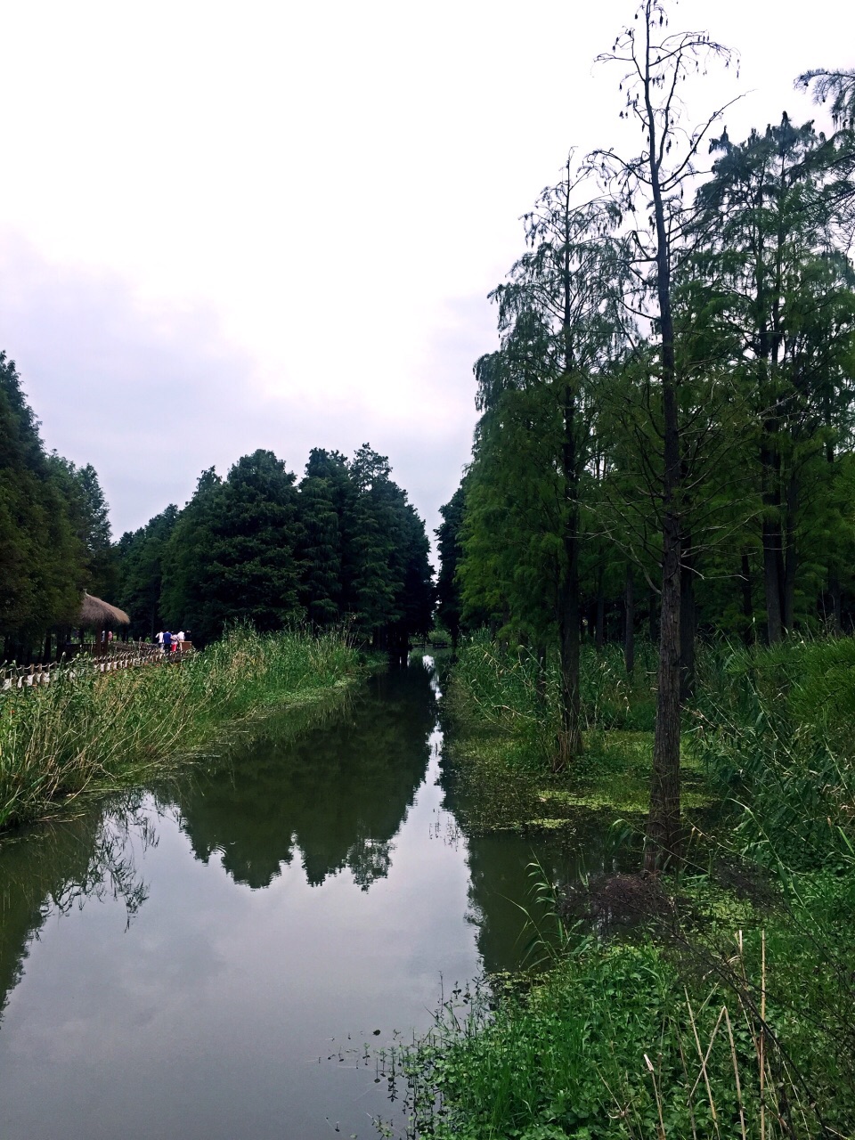 上海青西郊野公园攻略,上海青西郊野公园门票/游玩