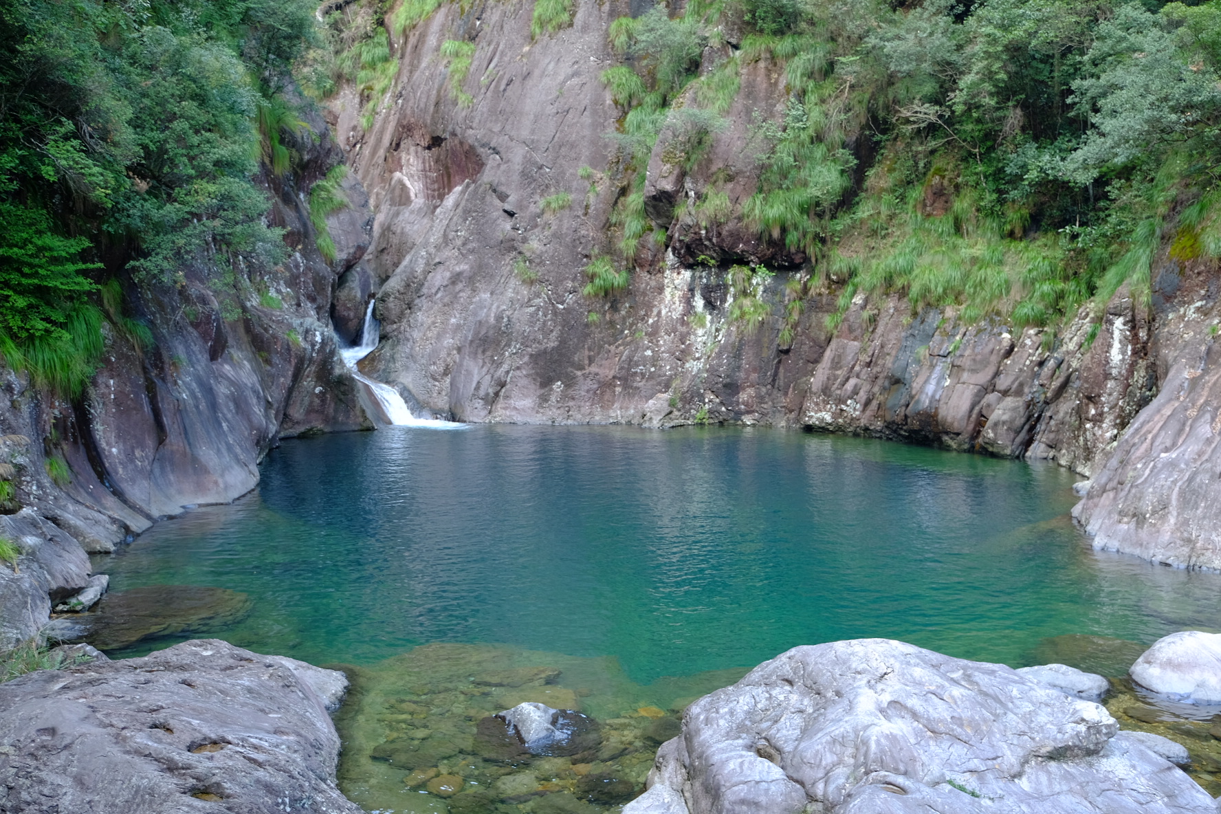 【携程攻略】文成铜铃山森林公园适合朋友出游旅游吗