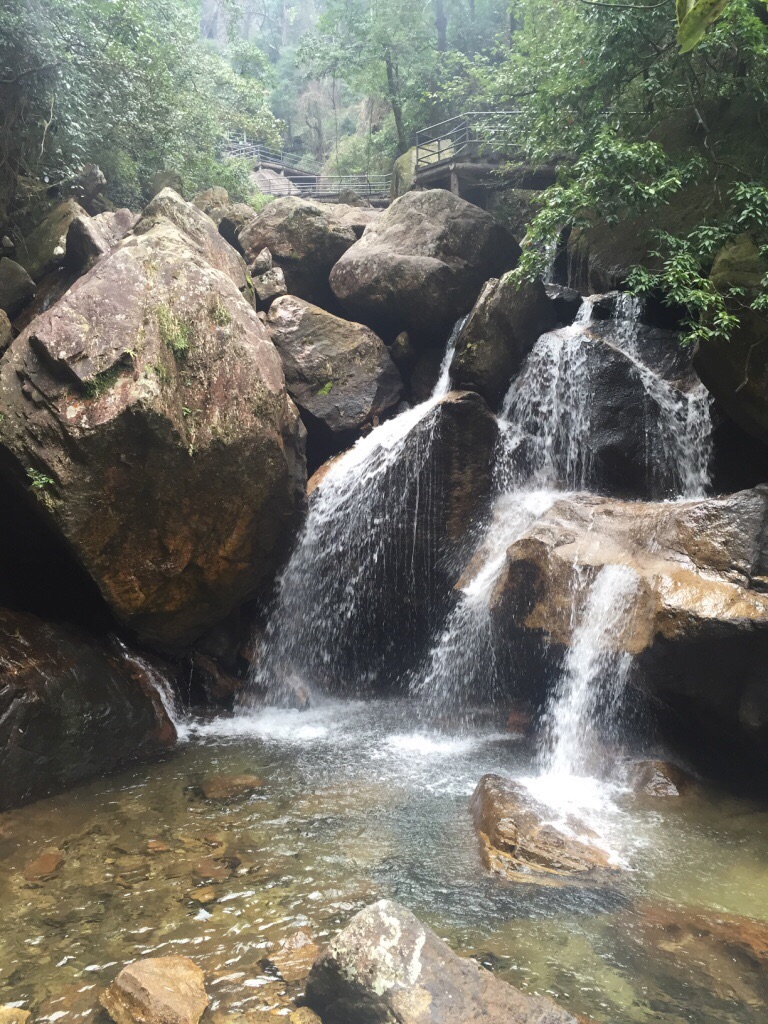 莽山国家森林公园旅游景点攻略图